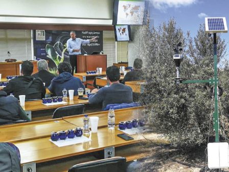 Ακαδημία Ελιάς Terra Creta: Αύξηση παραγωγής κατά 18,5% ανά ελαιόδεντρο 