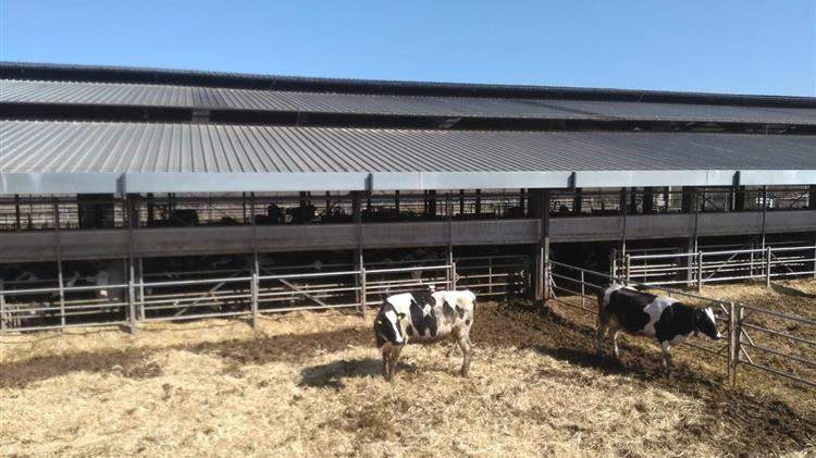 ΕΙΔΗΣΕΙΣ Μέτρα προφύλαξης από τους ιδιοκτήτες κτηνοτροφικών εγκαταστάσεων για τη διαχείριση φυσικών καταστροφών