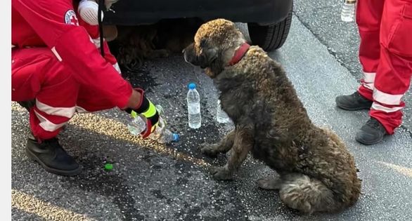ΣΥΓΚΕΝΤΡΩΣΗ ΕΙΔΩΝ ΠΡΩΤΗΣ ΑΝΑΓΚΗΣ ΓΙΑ ΤΟΥΣ ΠΥΡΟΠΛΗΚΤΟΥΣ