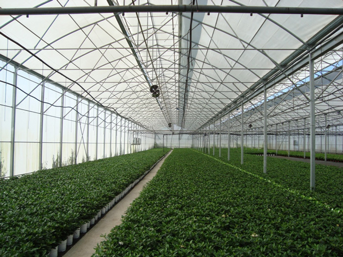 Θερμοκήπια: Τα συν και τα πλην του Προγράμματος Ενίσχυσης