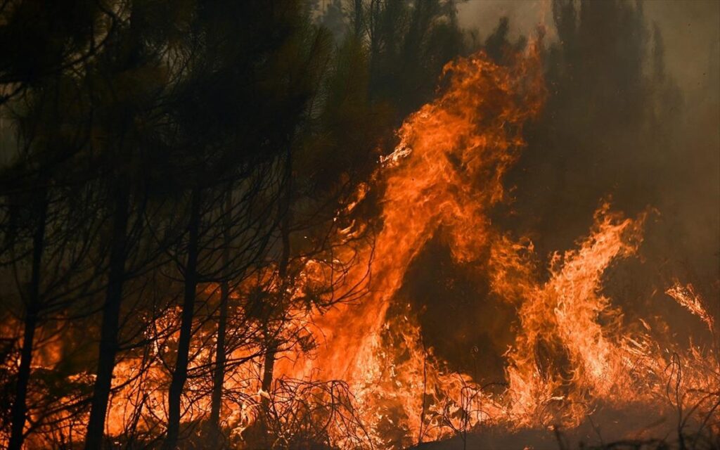 Σοφικό: Διάσπαρτες εστίες – «Σηκώθηκαν» εναέρια μέσα