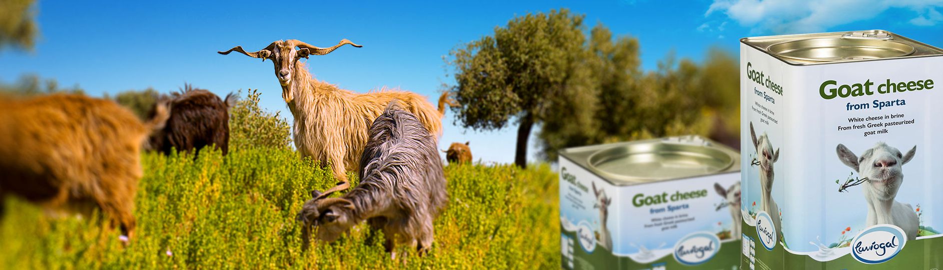 Λαβιογαλ Κυριαζακος ΑΒΕΕ Laviogal