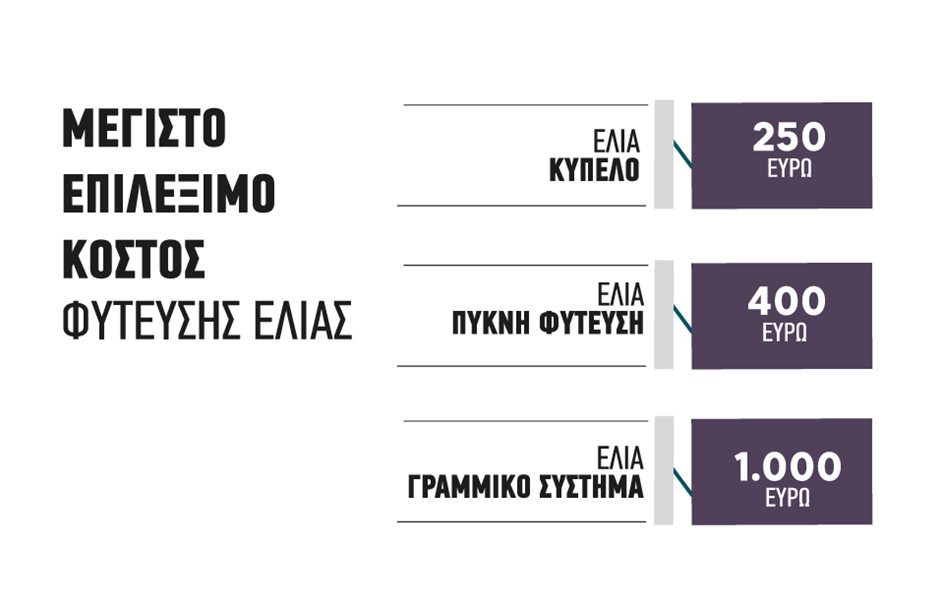 Έως 1.000 ευρώ το στρέμμα για φύτευση ελιάς μέσω των Σχεδίων Βελτίωσης, επιδότηση ως 60%