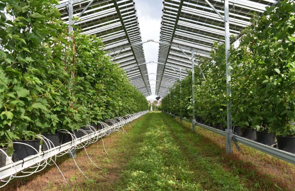 Παράταση αιτήσεων για θερμοκήπια έως 8 Οκτωβρίου