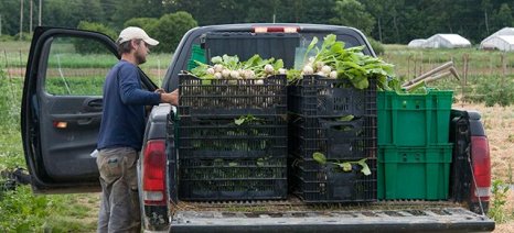 Οδηγίες σε αγρότες-υπαίθριους πωλητές για το ψηφιακό δελτίο αποστολής