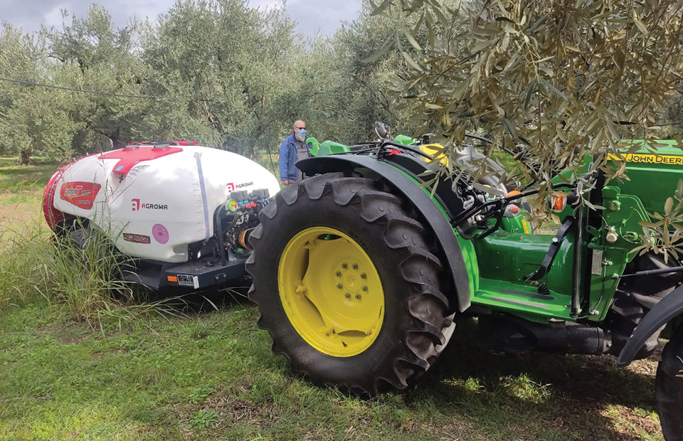 Ελιά: προϋπόθεση οι φροντίδες στην ανθοφορία για αντιµετώπιση εχθρών και ασθενειών 