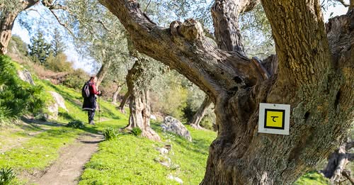 Ταΰγετος: Μια ξεχωριστή κυκλική πεζοπορία στην κοιλάδα της Ταϋγέτης