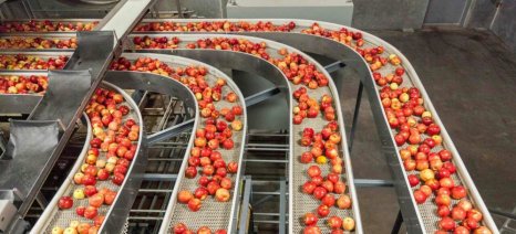 Στις 31/1 η τελική αξιολόγηση για αγροτική μεταποίηση