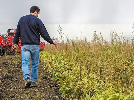 Χρηματοδότηση έως 70% στους νέους που θα μπουν στα Σχέδια Βελτίωσης
