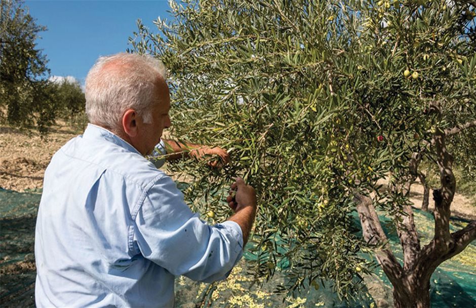Ε.Ε.: Πριµ αποχώρησης από το αγροτικό επάγγελµα ύψους 25.000 έως και 50.000 ευρώ