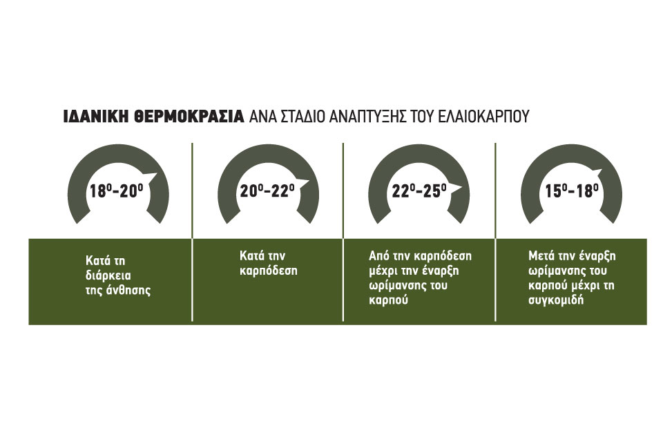 Μέθοδοι μείωσης θερμικού στρες της ελιάς το καλοκαίρι
