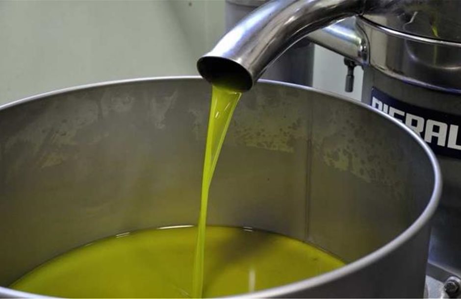 Μείωση φετινής παραγωγής ελαιολάδου λόγω ξηρασίας και δάκου