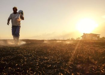 Εργάτες γης από την Ινδία