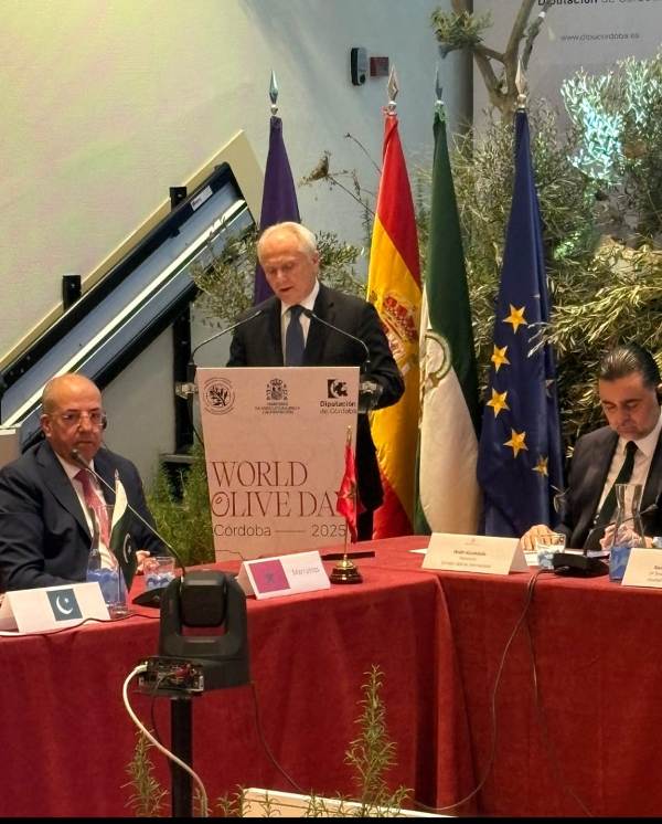 Ο ΥφΑΑ&amp;Τ Γ. Ανδριανός στη Σύνοδο του Διεθνούς Συμβουλίου Ελιάς στην Κόρδοβα