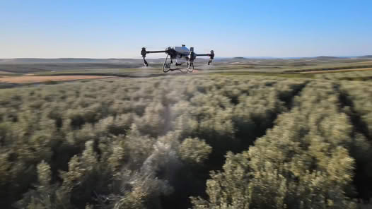 Εναέριος ψεκασμός σε ελαιώνες με DRONE