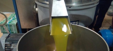 Ελαιόλαδο-Κομισιόν: Αντιδράσεις για τα όρια των Αρωματικών Υδρογονανθράκων Ορυκτών Ελαίων