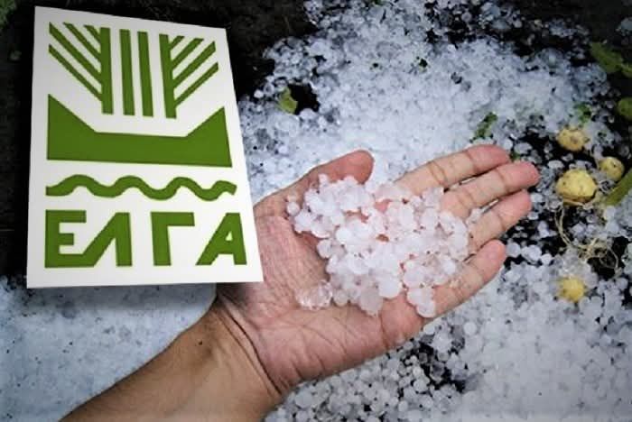 ΕΛΓΑ: Προκαταβολή 35,1 εκατ. ευρώ για ζημιές φυτικού κεφαλαίου