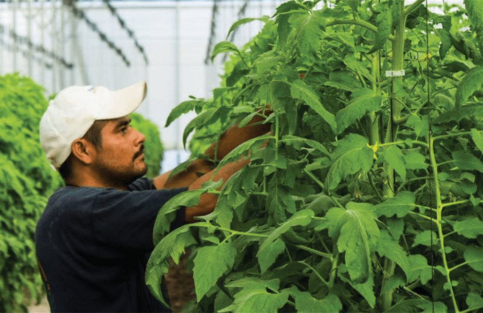 Από Ιούνιο λύση για τις άδειες εισόδου εργατών γης