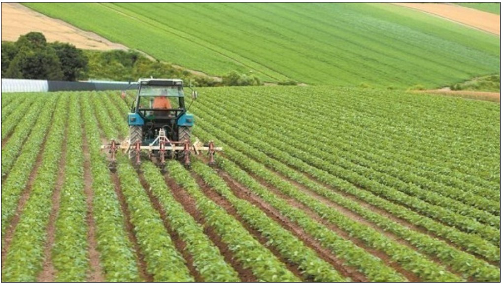 Αγροτικά ακίνητα: Έρχονται ρυθμίσεις τακτοποίησης με ν/σ της κυβέρνησης