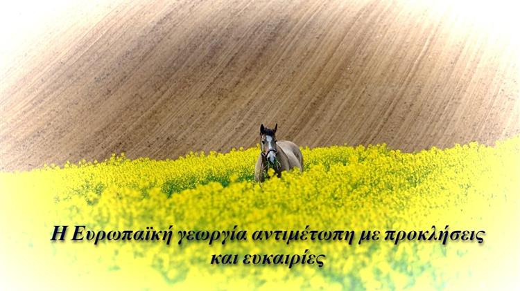 Η Γεωργία στην ΕΕ: Προκλήσεις και ευκαιρίες σε ένα σύνθετο τοπίο