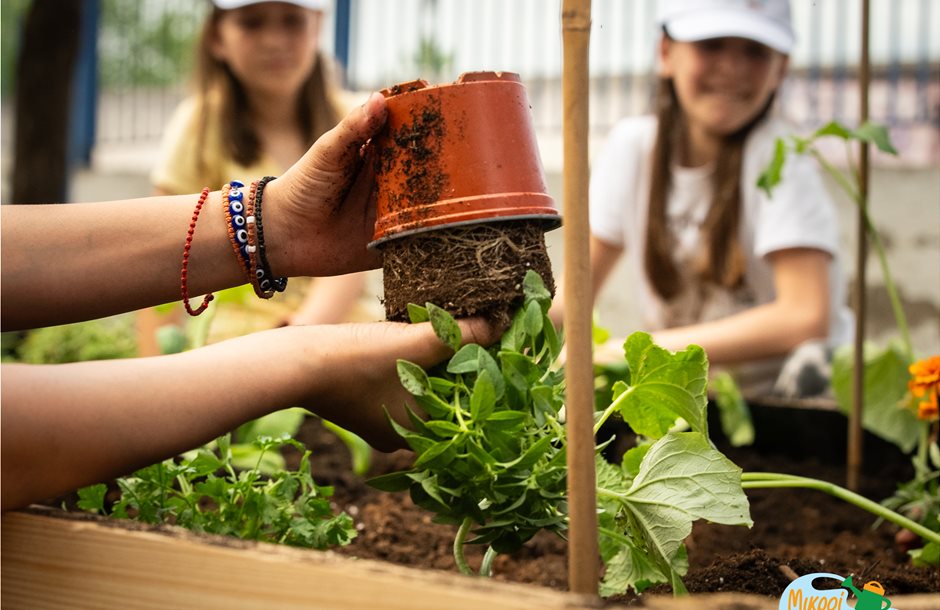 Εκπαιδευτικό πρόγραμμα για δημιουργία σχολικών λαχανόκηπων