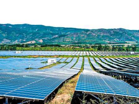 Ιταλία: Αγροφωτοβολταϊκά σε Ελαιώνες