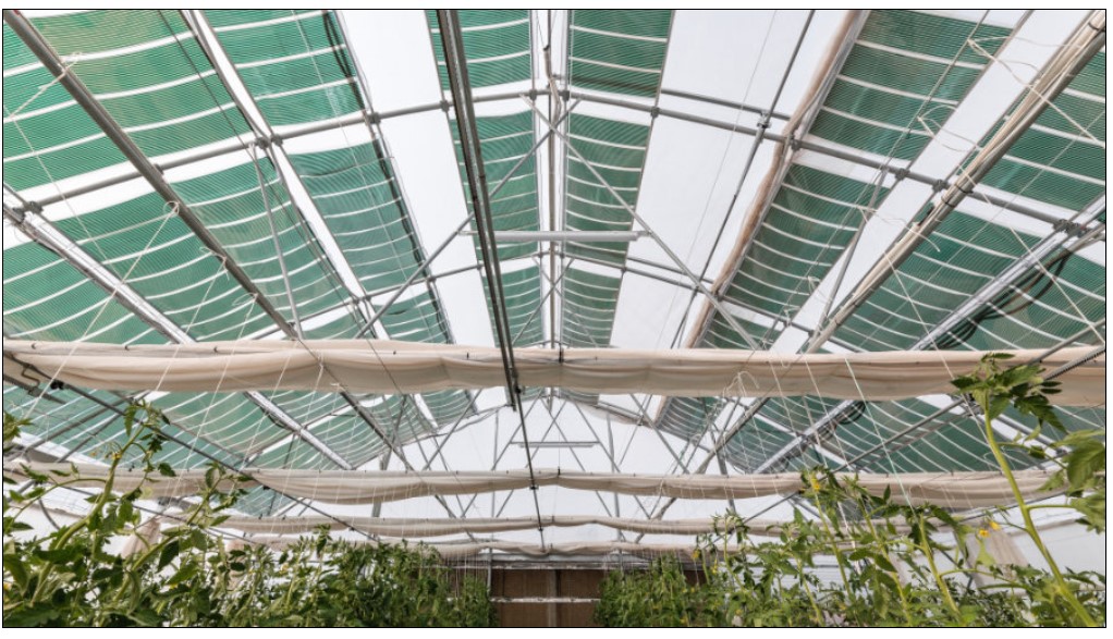 Ελληνική καινοτομία-ΑγροΦωτοβολταϊκά που… καλλιεργούν κέρδος