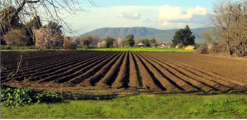 Κανονικά οι πληρωμές επιδοτήσεων τη Μ. Πέμπτη