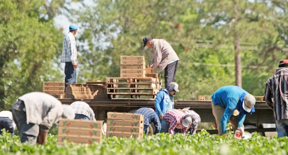 Παρελθόν το εργόσημο-Ασφάλιση εργατών γης στον ΕΦΚΑ