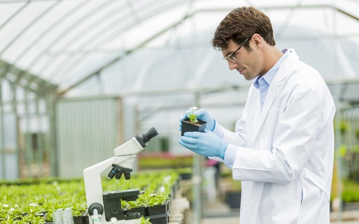 Ξεκινούν στις 10/7 οι εγγραφές στις Σχολές Ανώτερης Επαγγελματικής Κατάρτισης του ΕΛΓΟ