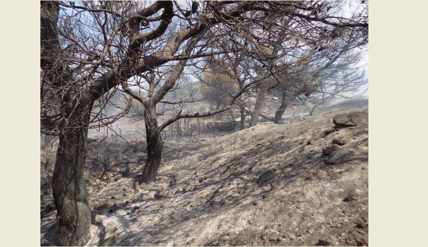 40 εκατ. ευρώ στους Δήμους για Πυροπροστασία