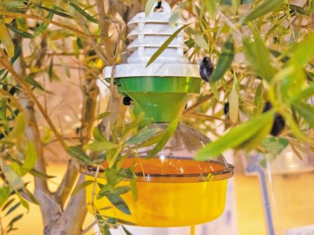 GaiaTRAP: Ένα προηγμένο σύστημα κατά του δάκου