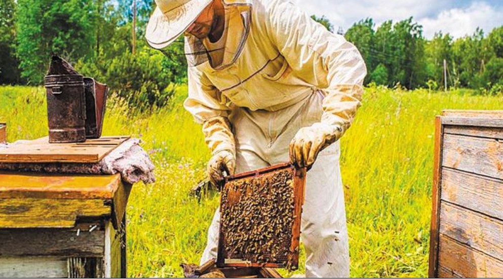 Υποβολή Αιτήσεων για ενισχύσεις δράσεων στη μελισσοκομία