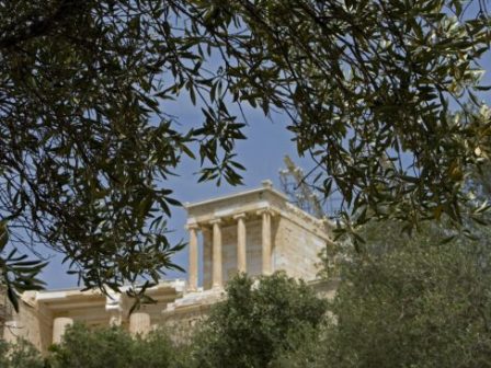 4Ε: Οι Αρωματικοί Υδρογονάνθρακες Ορυκτελαίων απειλούν την ελαιοκομία