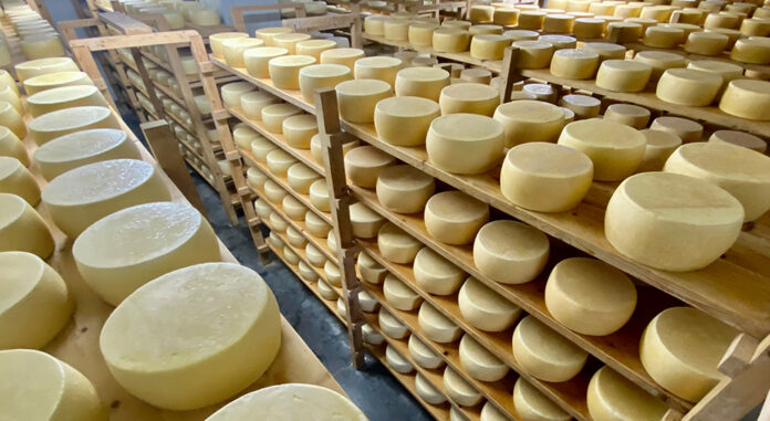 Οικοτεχνικό Τυροκομείο για επιπλέον εισόδημα