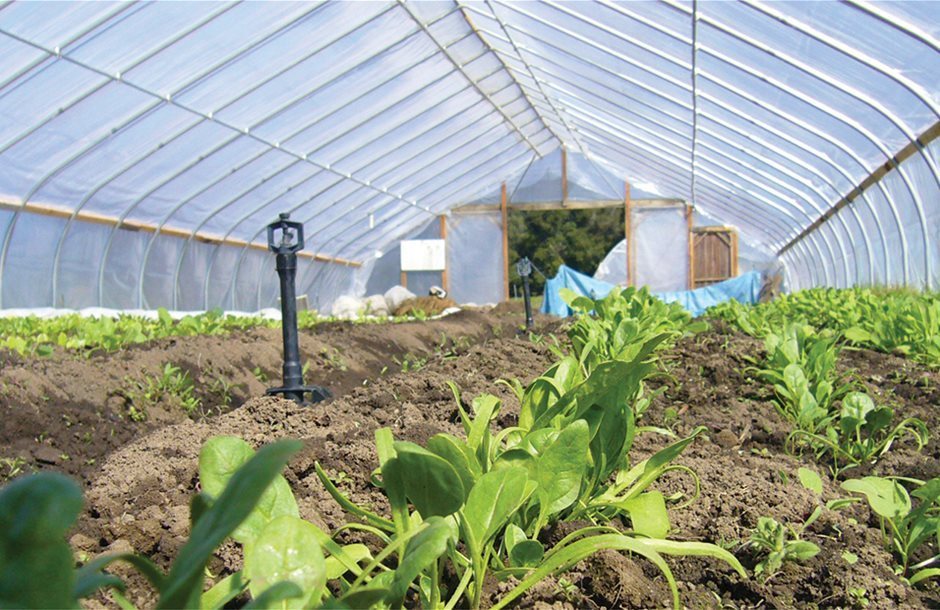 Προεξόφληση ενίσχυσης μέτρου θερμοκηπίων από την Τράπεζα Πειραιώς