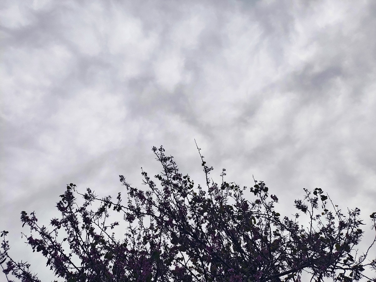 Αλλαγή στο σκηνικό του καιρού με βροχές, καταιγίδες και κεραυνούς