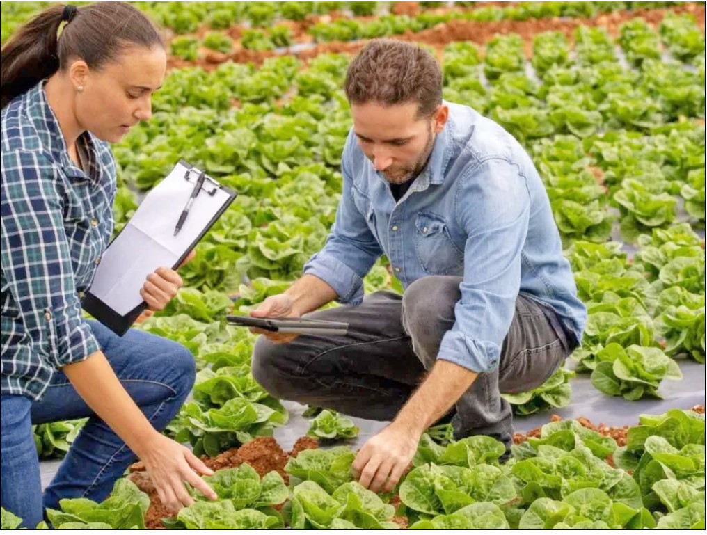 EU CAP Network: Η υγεία του εδάφους αυξάνει την αγροτική παραγωγή