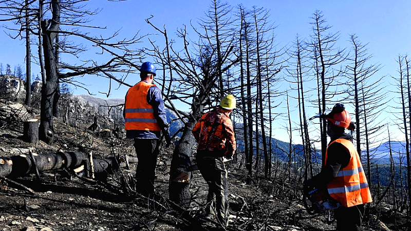 Εθνικός Χάρτης Κινδύνου Δασικών Πυρκαγιών–Τρεις κατηγορίες Δήμων