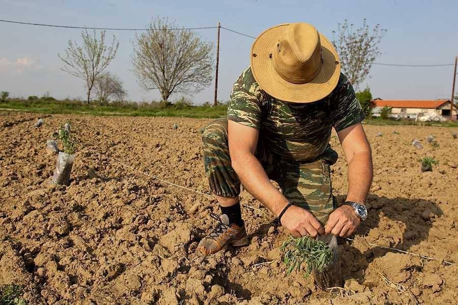 Αναδρομικά από 15/3 η επιδότηση 15% στα λιπάσματα