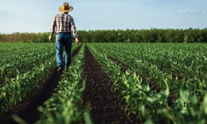 ΟΠΕΚΑ: Επίδομα 1.000 ευρώ σε παιδιά αγροτών για τις Πανελλαδικές