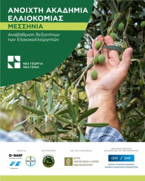 2ος Εκπαιδευτικός κύκλος της Ανοικτής Ακαδημίας Ελαιοκομίας