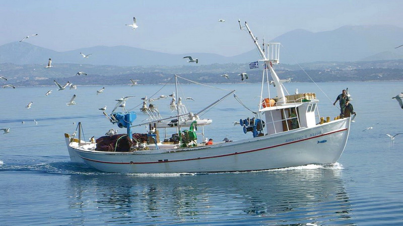 Από το Τμήμα Αλιείας της Δ/νσης Αγροτικής Οικονομίας και Κτηνιατρικής Π.Ε Λακωνίας ανακοινώνεται ότι: