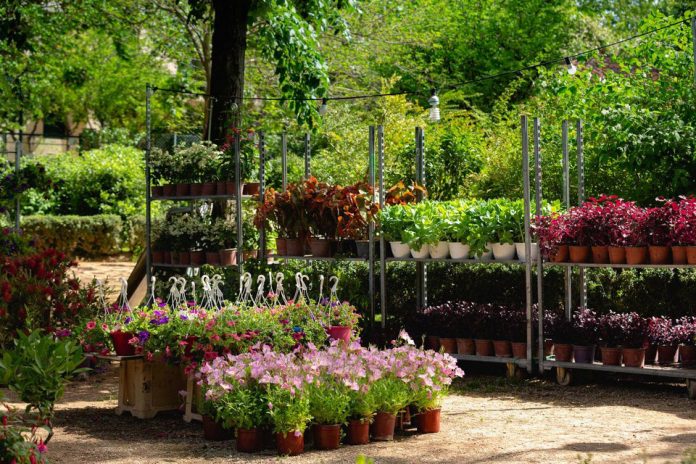 Ξεκινούν οι ανθοκομικές εκθέσεις από τους Δήμους