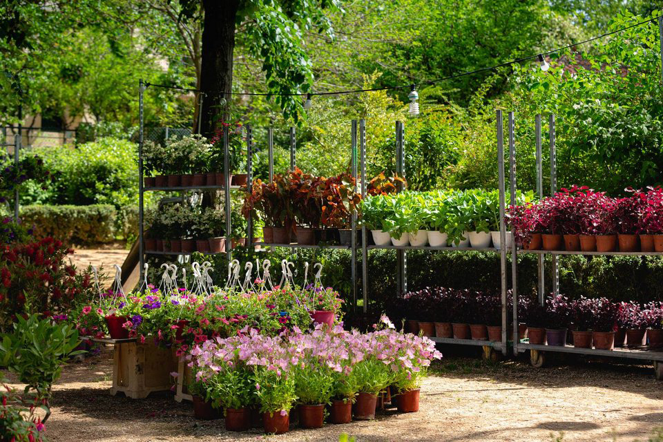 ΣτΕ: Ακύρωση κατάργησης Νομικών Προσώπων του Δήμου Κηφισιάς 