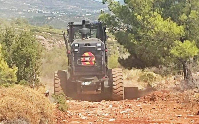 Πράσινο Ταμείο: Παρατάσεις στη δημιουργία αντιπυρικών ζωνών σε 172 Δήμους