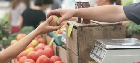 Ο ΦΠΑ στραγγαλίζει τους παραγωγούς Λαϊκών Αγορών