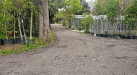 Δημοτικά φυτώρια: Οικονομικό εργαλείο προβολής Βιοποικιλότητας