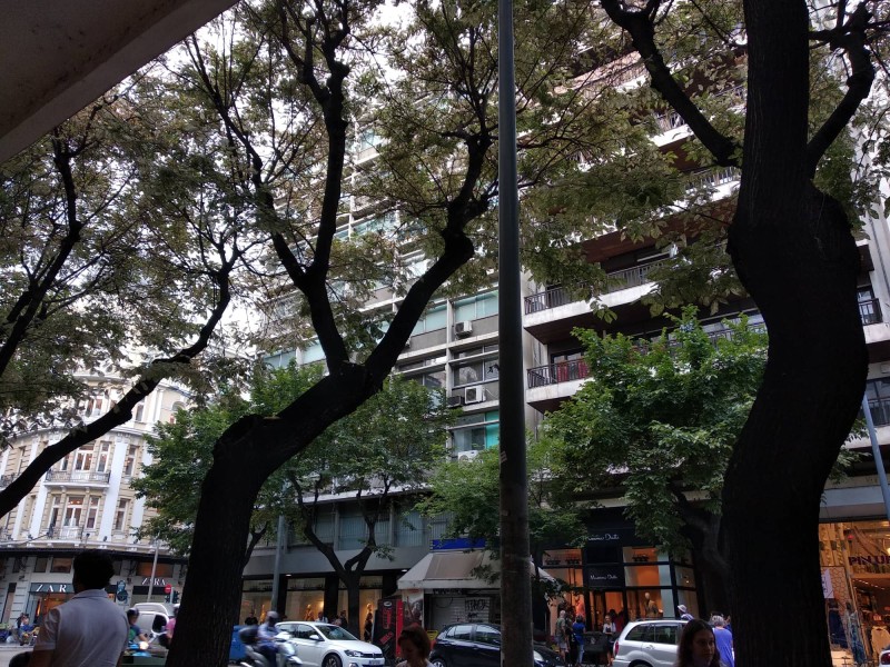 Mήνυση κατά δημάρχου «για τις παράνομες κοπές δέντρων»