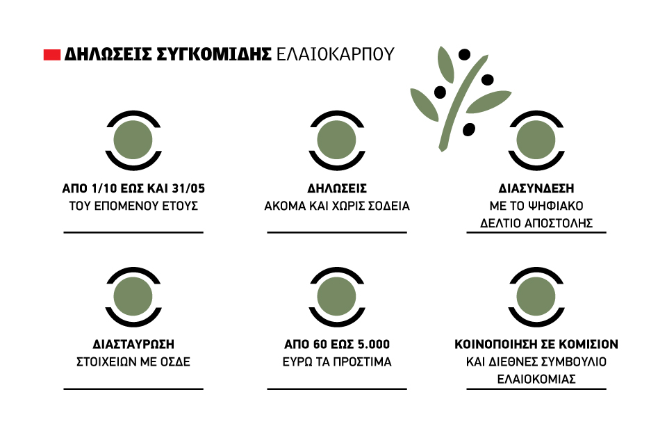 Από 1/10 Δηλώσεις Ελαιοσυγκομιδής, Ελαιοκομικό Μητρώο &amp; πρόστιμα
